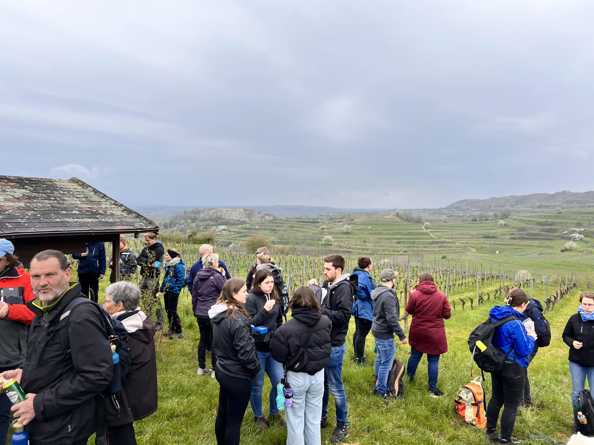 Wandergruppe des Musikvereins steht beim Ausflug an einem Weinberghang mit Blick in die Landschaft