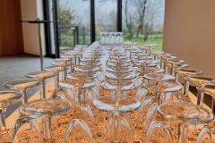 IMG_4484