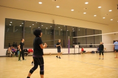 Volleyball_15-3