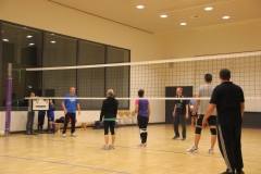Volleyball_15-8