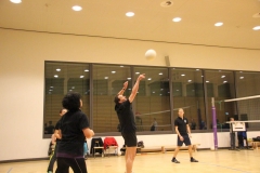 Volleyball_15-9